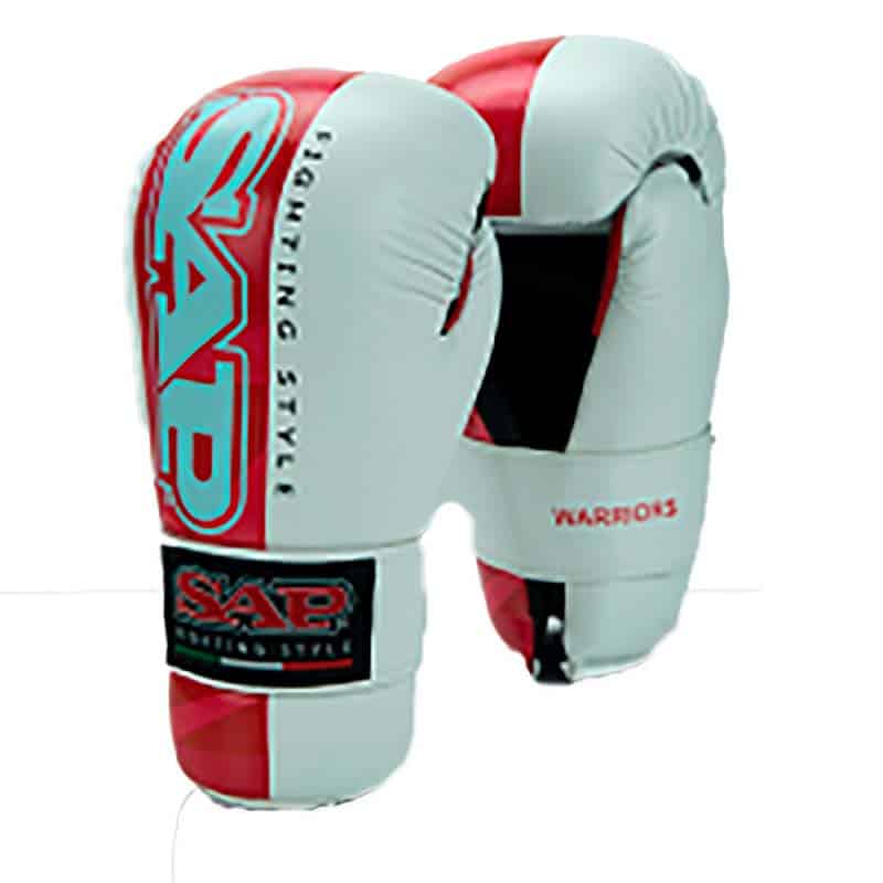 GUANTO IBRIDO BLACKHAWK PRO II SPHINX - Fight Academy Gear