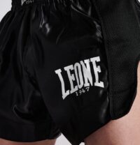 Panta Thai Flag Leone 1947 logo