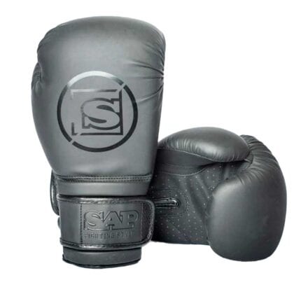 Guantoni-Boxe-Elite-SAP-coppia