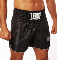 Panta Thai Basic Leone 1947 fronte
